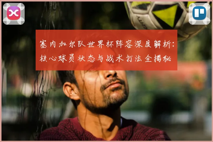 塞内加尔队世界杯阵容深度解析：核心球员状态与战术打法全揭秘